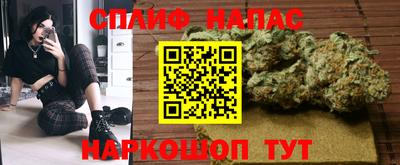 каннабис Будённовск