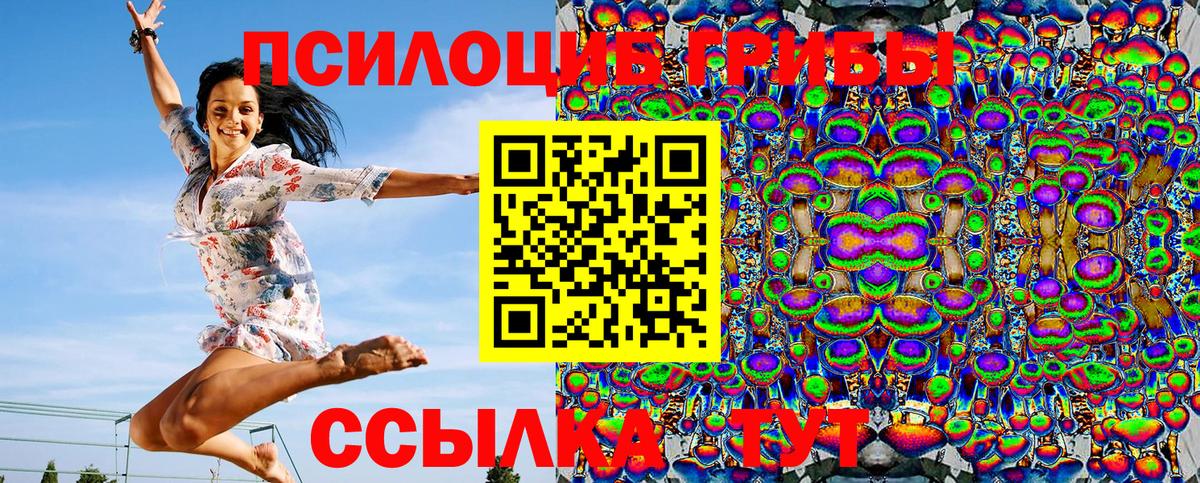 Подольск  Псилоцибиновые грибы мицелий  Галлюциногенные грибы прущие грибы  Вход с VPN 